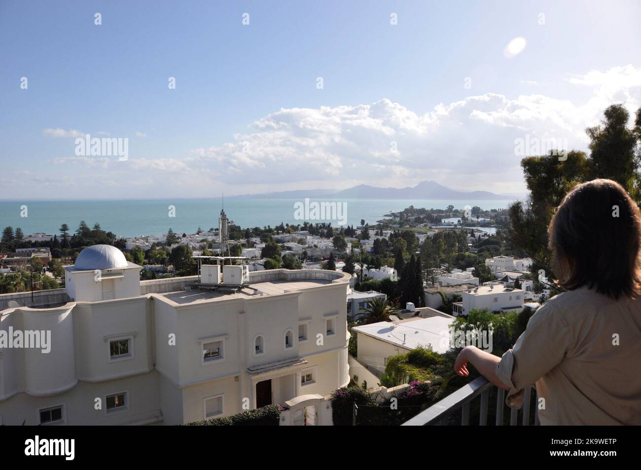 Vom Luxushotel Villa Didion hat man eine prächtige Panorama-Aussicht über die Stadt und den Golf von Tunis. Dal lussuoso Hotel Villa Didon avete Foto Stock