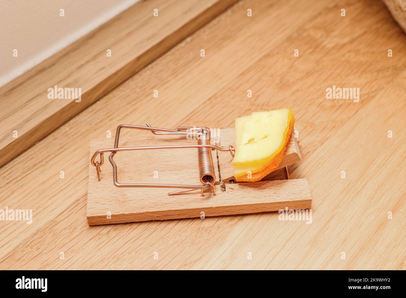 Mousetrap con formaggio sul pavimento in camera Foto Stock