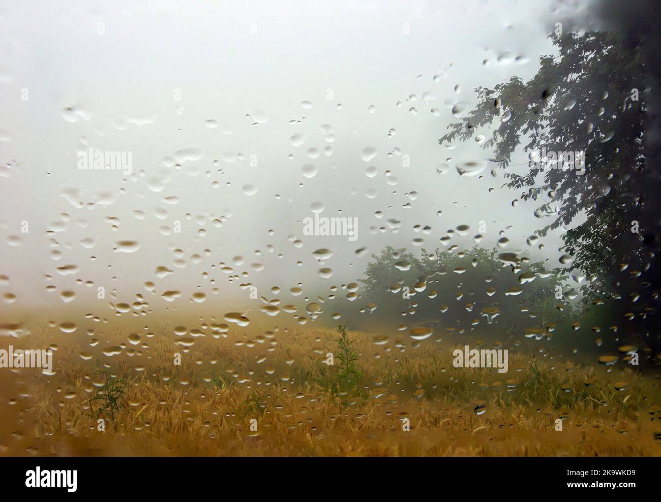 Landschaft hinter Glas Foto Stock