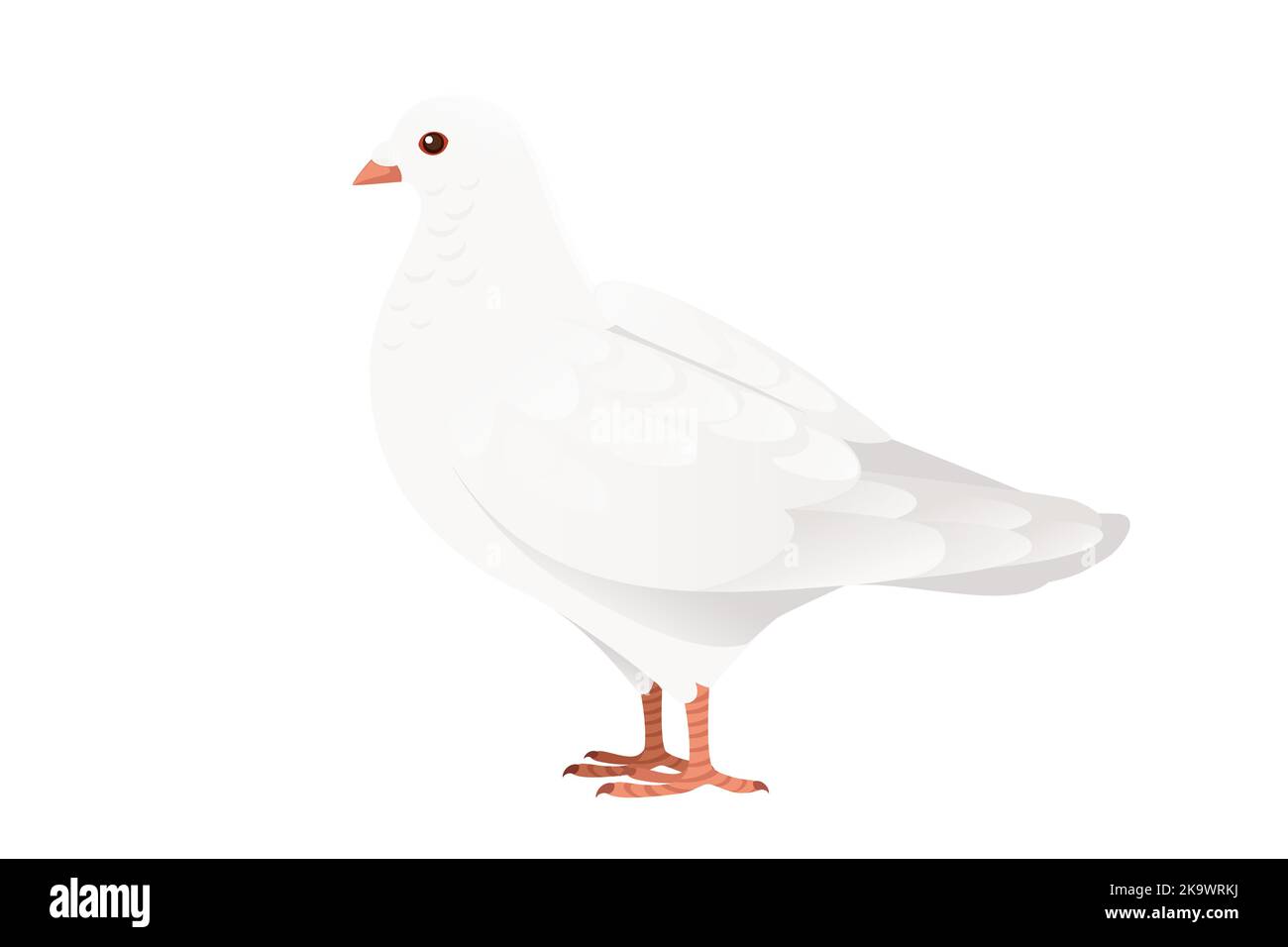 Colomba di piccione bianco simbolo di pace vettore illustrazione disegno animale cartone isolato su sfondo bianco Illustrazione Vettoriale