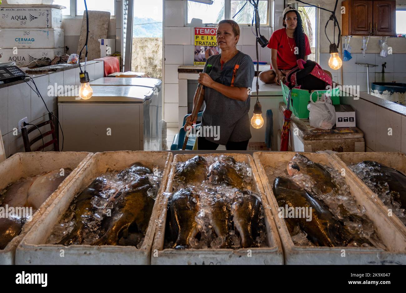 Due donne che vendono varietà di pesce d'acqua dolce dal fiume Amazzonia al mercato del pesce. Manaus, Amazonas, Brasile. Foto Stock