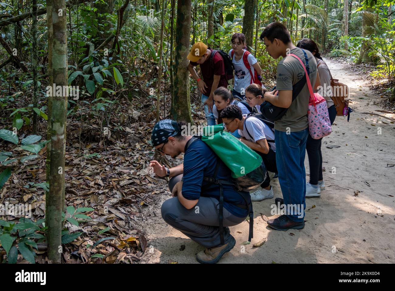 Un naturalista guida un gruppo di studenti in un tour naturalistico attraverso la foresta tropicale amazzonica al Museu da Amazonia (MUSA). Manaus, Amazonas, Brasile. Foto Stock