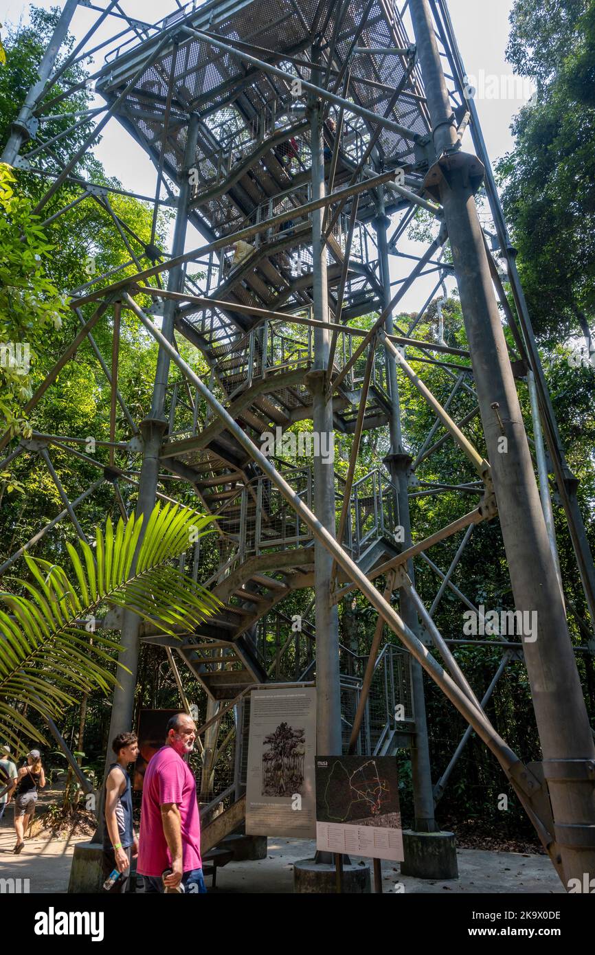 La torre a baldacchino si affaccia sulla foresta tropicale amazzonica presso il Museu da Amazonia (MUSA). Manaus, Amazonas, Brasile. Foto Stock