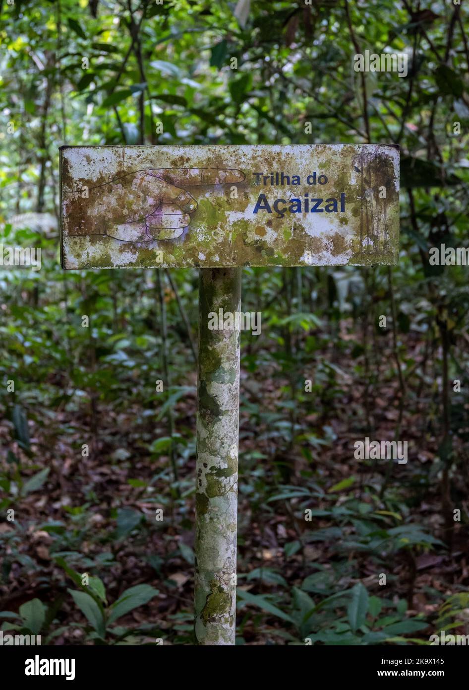 Cartello stradale all'interno della foresta tropicale. Parco Nazionale di Amazonia, Pará, Brasile. Foto Stock
