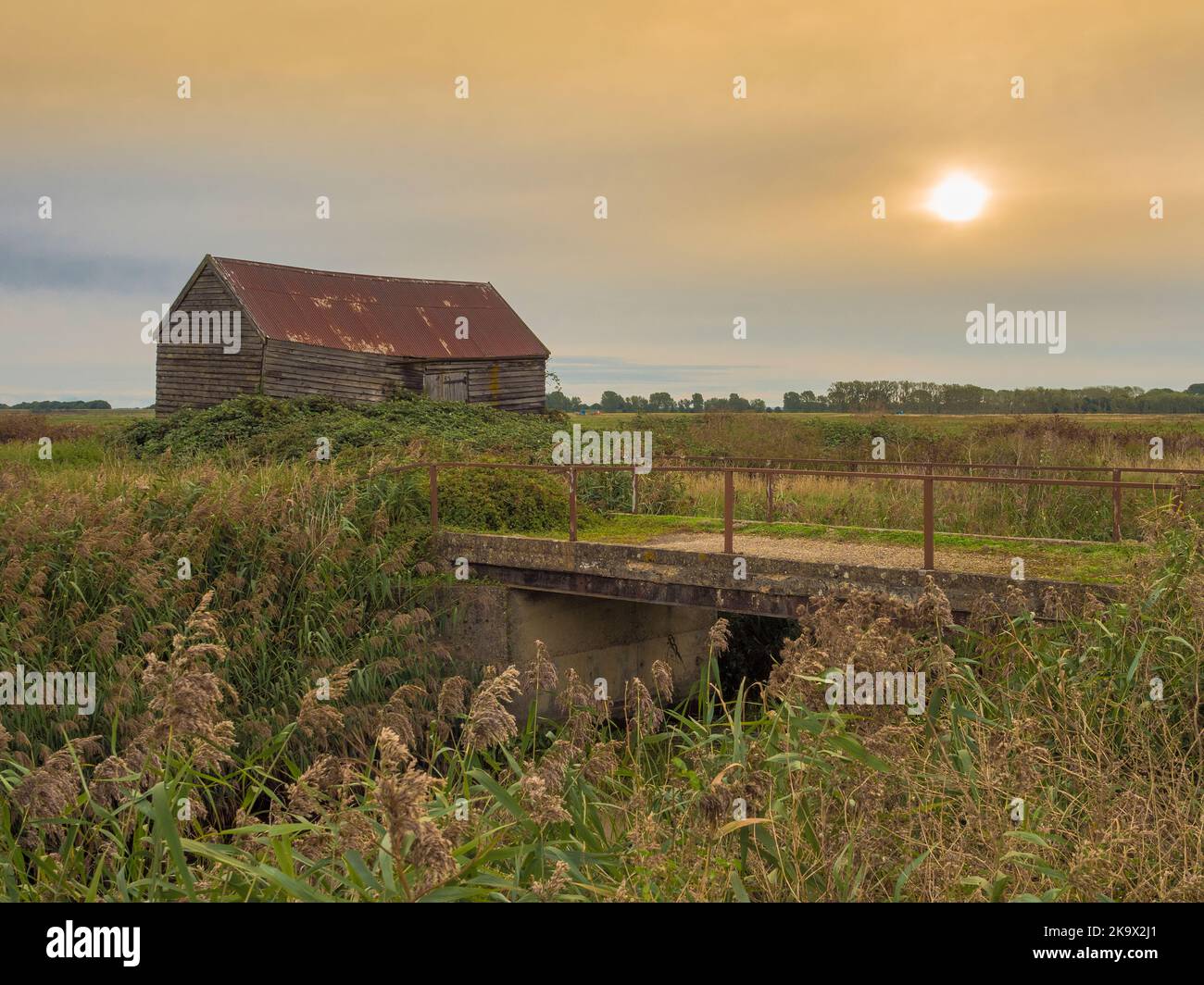 Vista del vecchio fienile fattoria all'alba, vicino a Prickwillow, Cambridgeshire Foto Stock