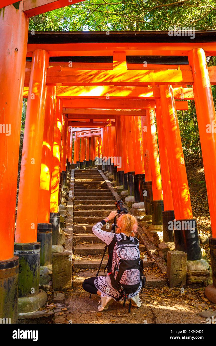 Viaggio donna fotografo con fotocamera professionale scatta foto del famoso monumento storico Fushimi Inari santuario. Concetto di viaggio in asia. Il famoso punto di riferimento di Kyoto Foto Stock