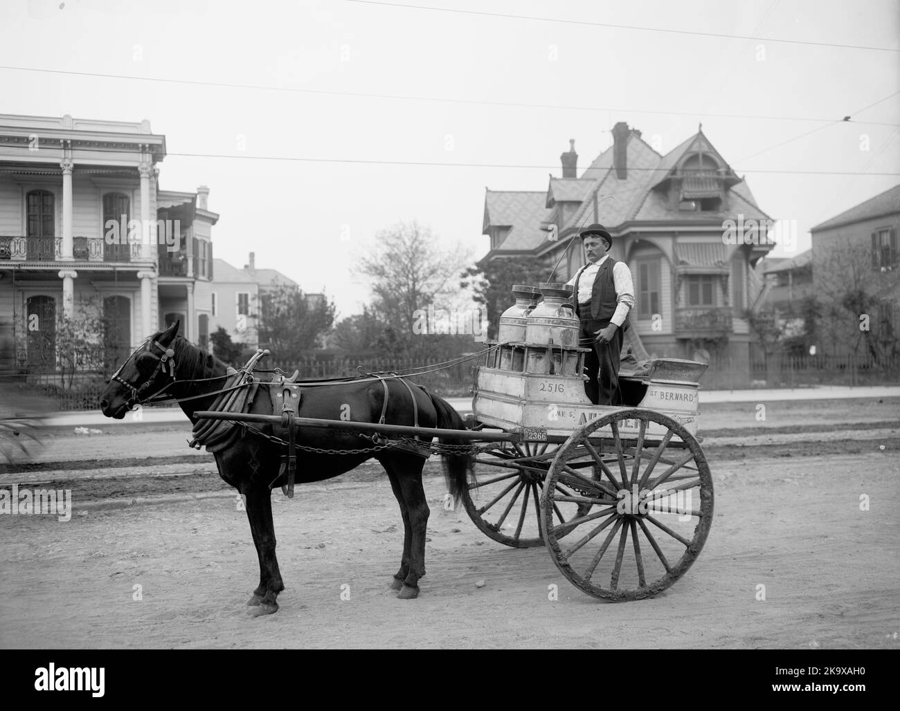 A New Orleans Milk Cart - New Orleans, Louisiana, USA - c. 1903 Foto Stock