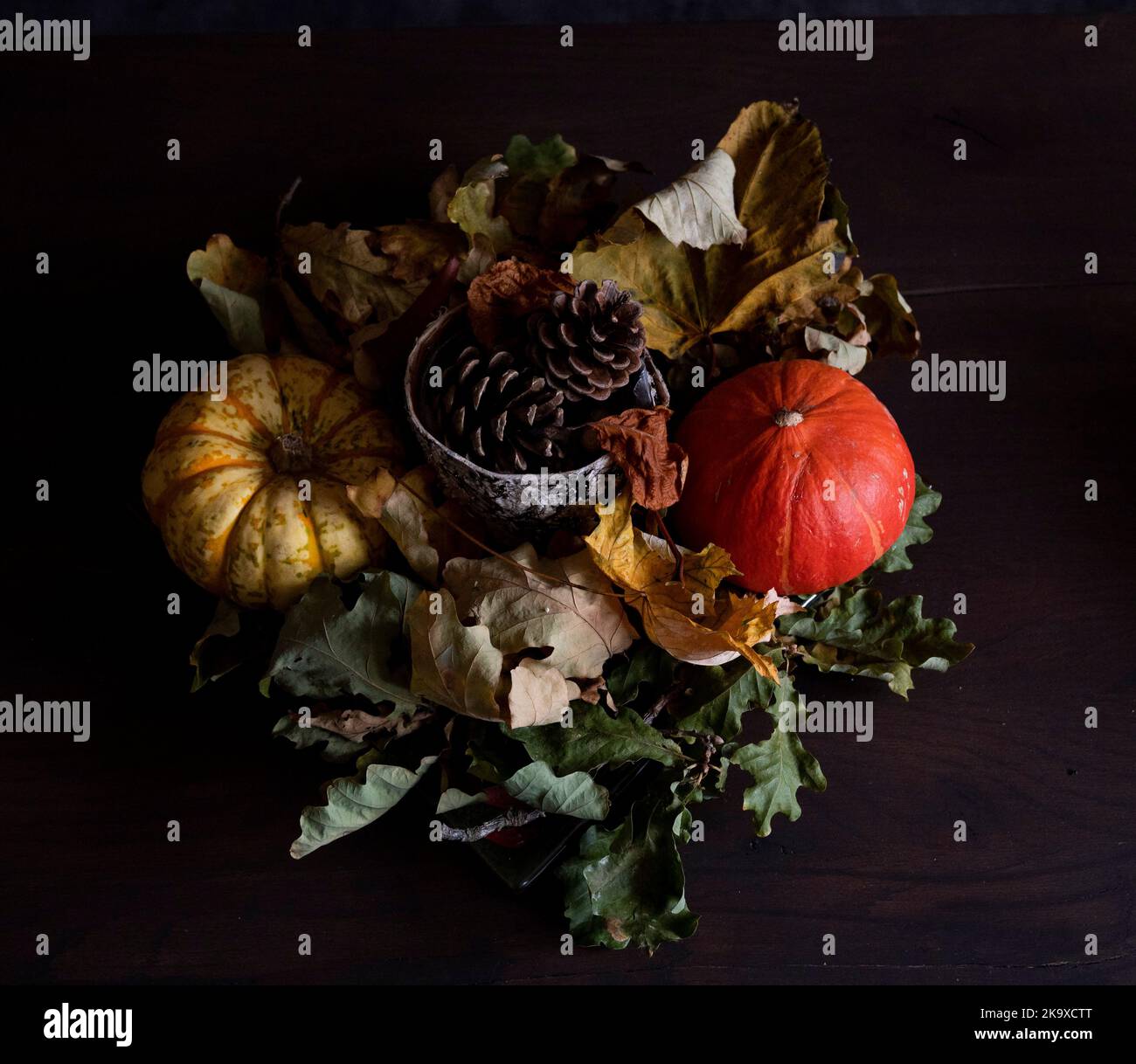 Autunno Still Life - foglie d'autunno zucche, piccoli coni di zucca e pino Foto Stock