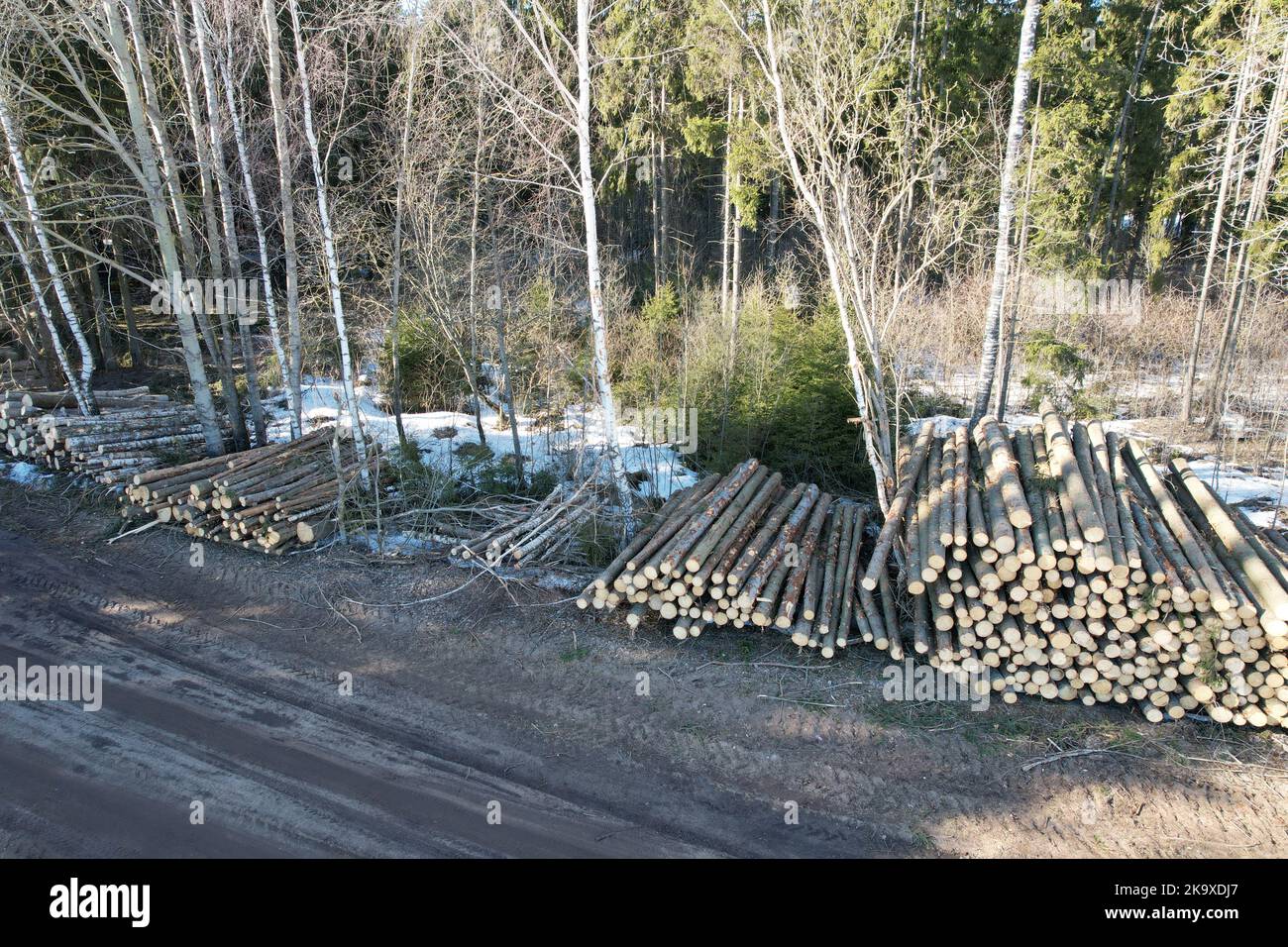 Pila di tronchi di legno. Vista aerea a tema sul legname Foto Stock