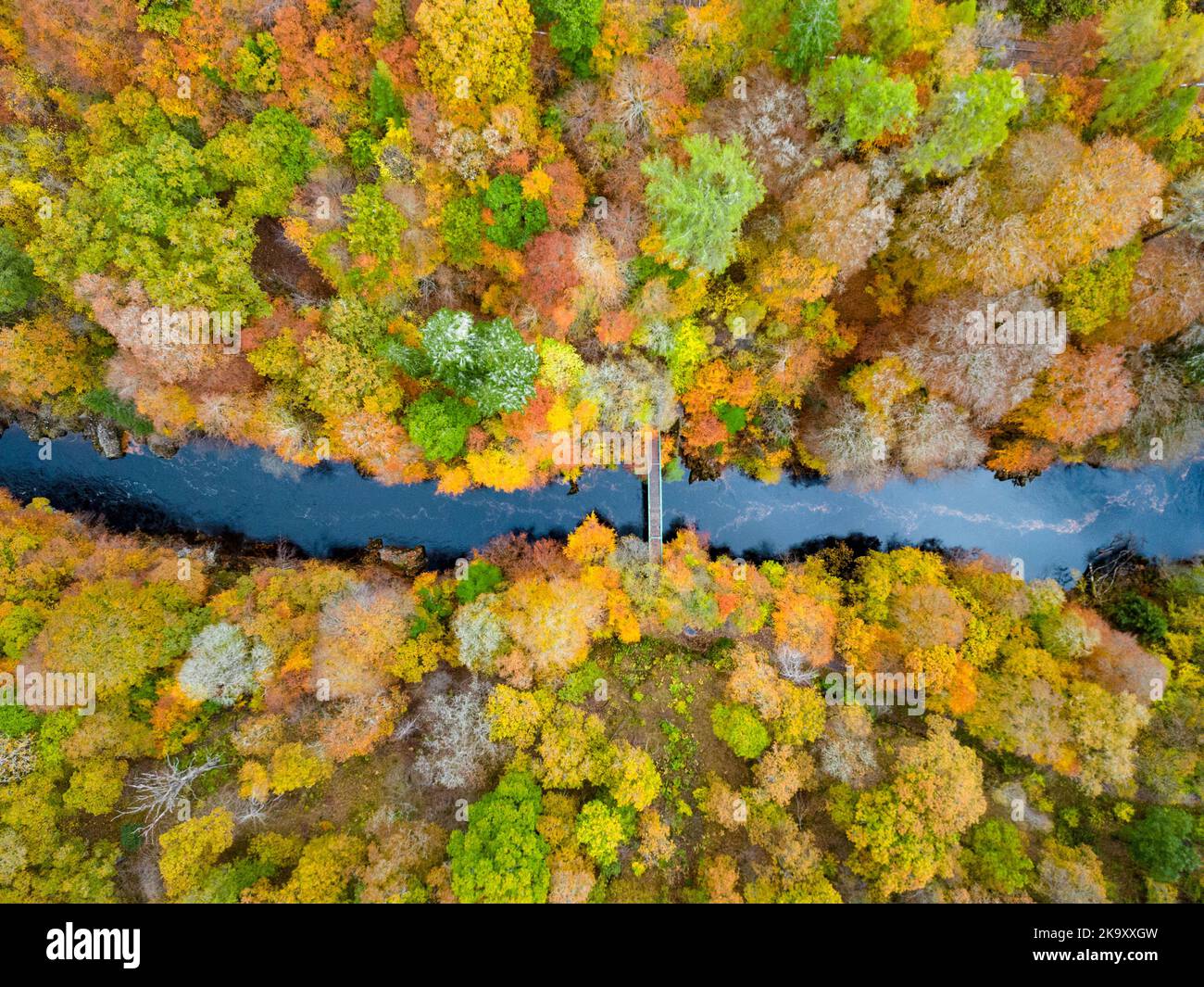 Vista aerea di spettacolari colori tardo autunnali negli alberi accanto al fiume Garry vicino a Killiecrankie a Perth e Kinross. Foto Stock