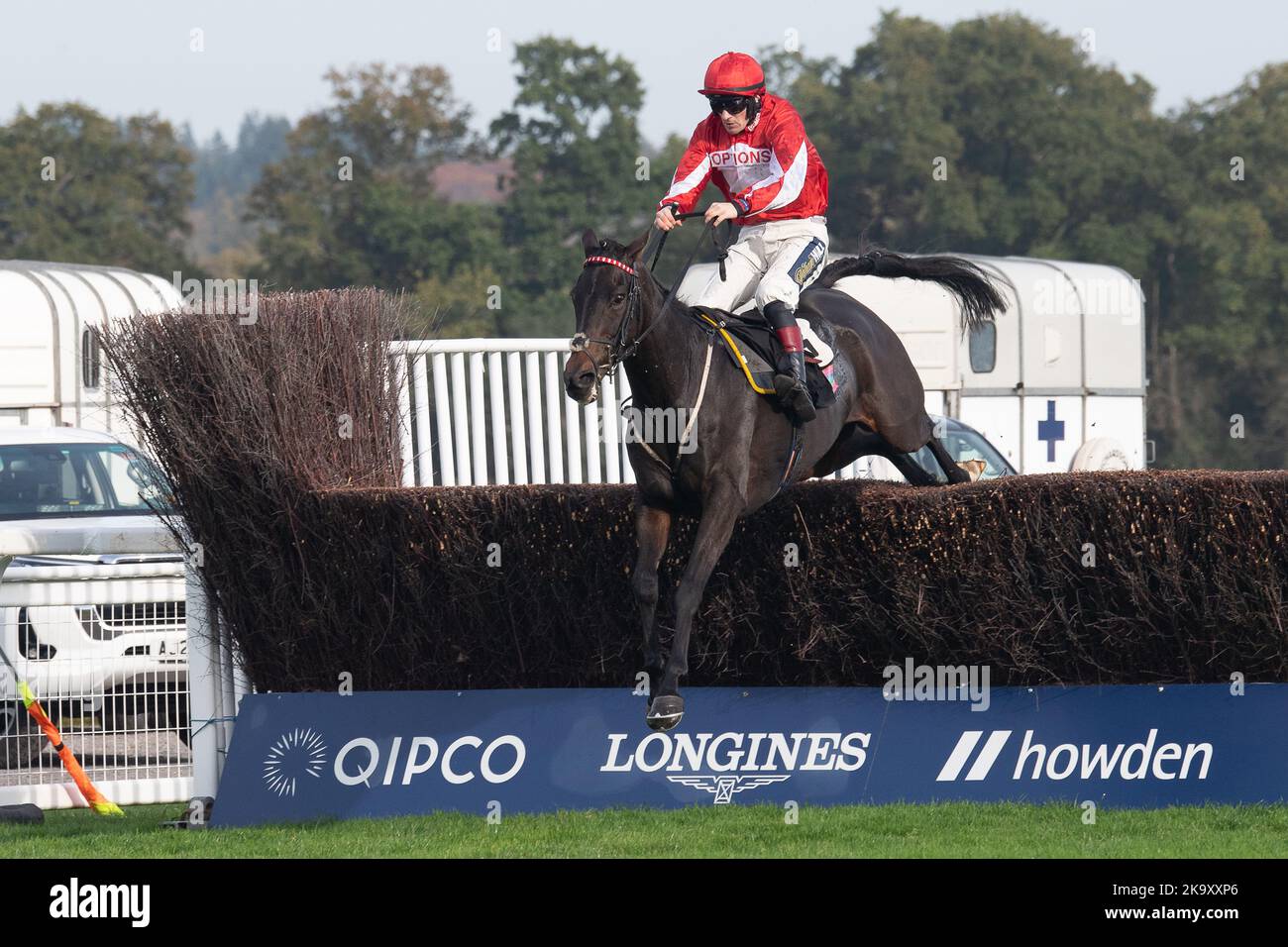 Ascot, Berkshire, Regno Unito. 29th ottobre 2022. Horse Gowel Road cavalcata dal jockey Sam Twiston-Davies cancella l'ultima prima di vincere l'Ascot Underwriting Novices' Limited handicap Steeple Chase alle corse Ascot. Opzioni proprietario o Syndicate. Allenatore Nigel Twiston-Davies, Cheltenham. Allevatore Cyril o'Hara. Opzioni dello sponsor Energy Services Ltd. Credit: Maureen McLean/Alamy Live News Foto Stock