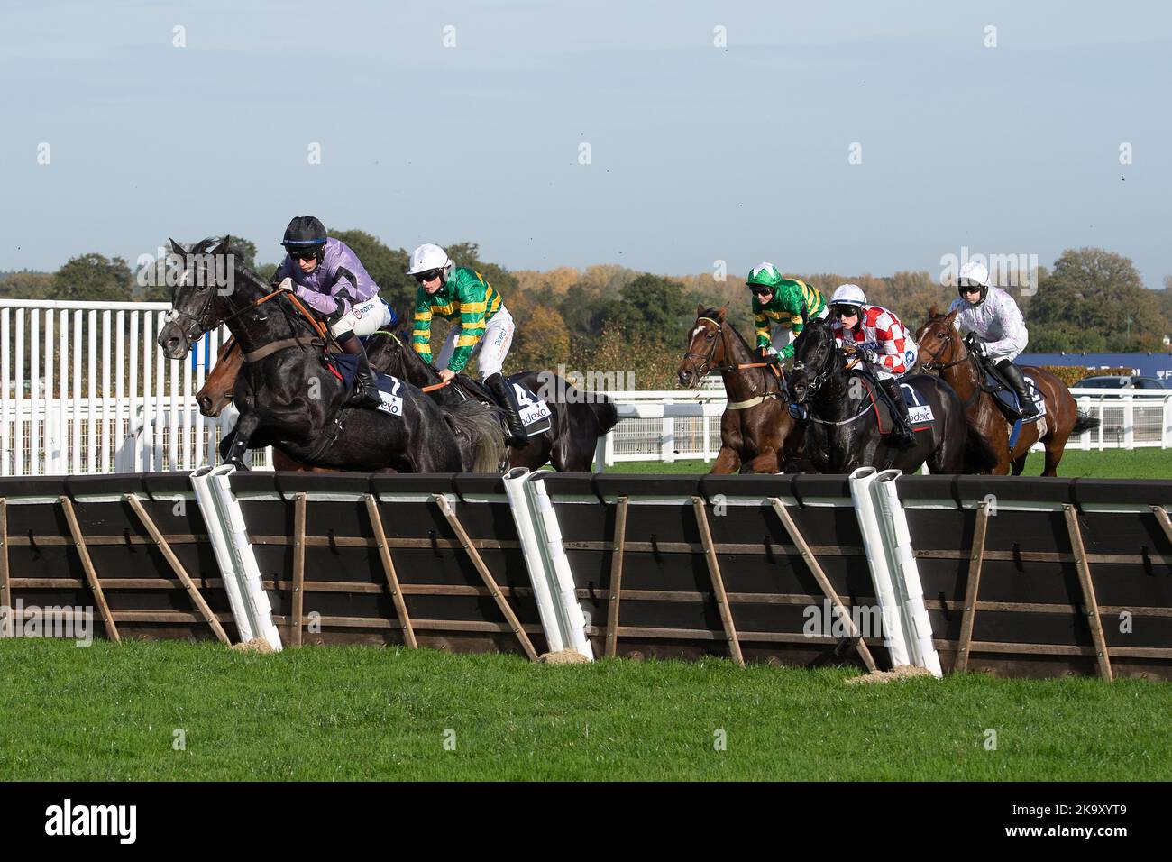 Ascot, Berkshire, Regno Unito. 29th ottobre 2022. Horse Hacker Des Places guidato dal jockey Angus Cheleda (sete viola) libera un ostacolo nel primo miglio prima di arrivare secondo nella Bateux London Handicap Hurdle Race. Proprietari Gruppo o68. Allenatore Paul Nicholls, Ditcheat. Credit: Maureen McLean/Alamy Live News Foto Stock