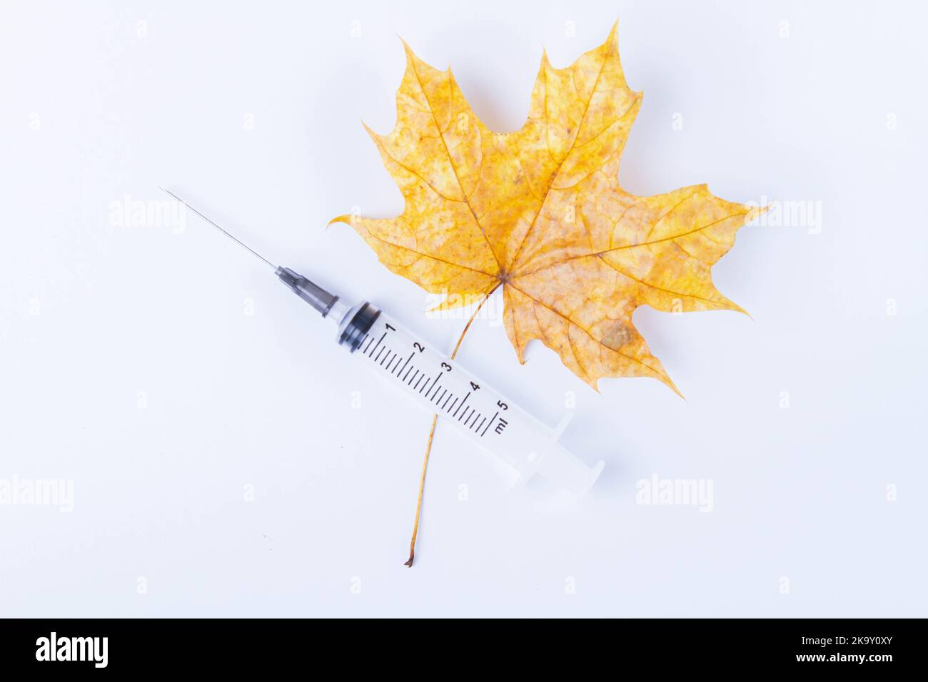 Foglia di acero autunnale e siringa con vaccino su sfondo bianco. Vaccinazione contro il raffreddore.. Foto Stock