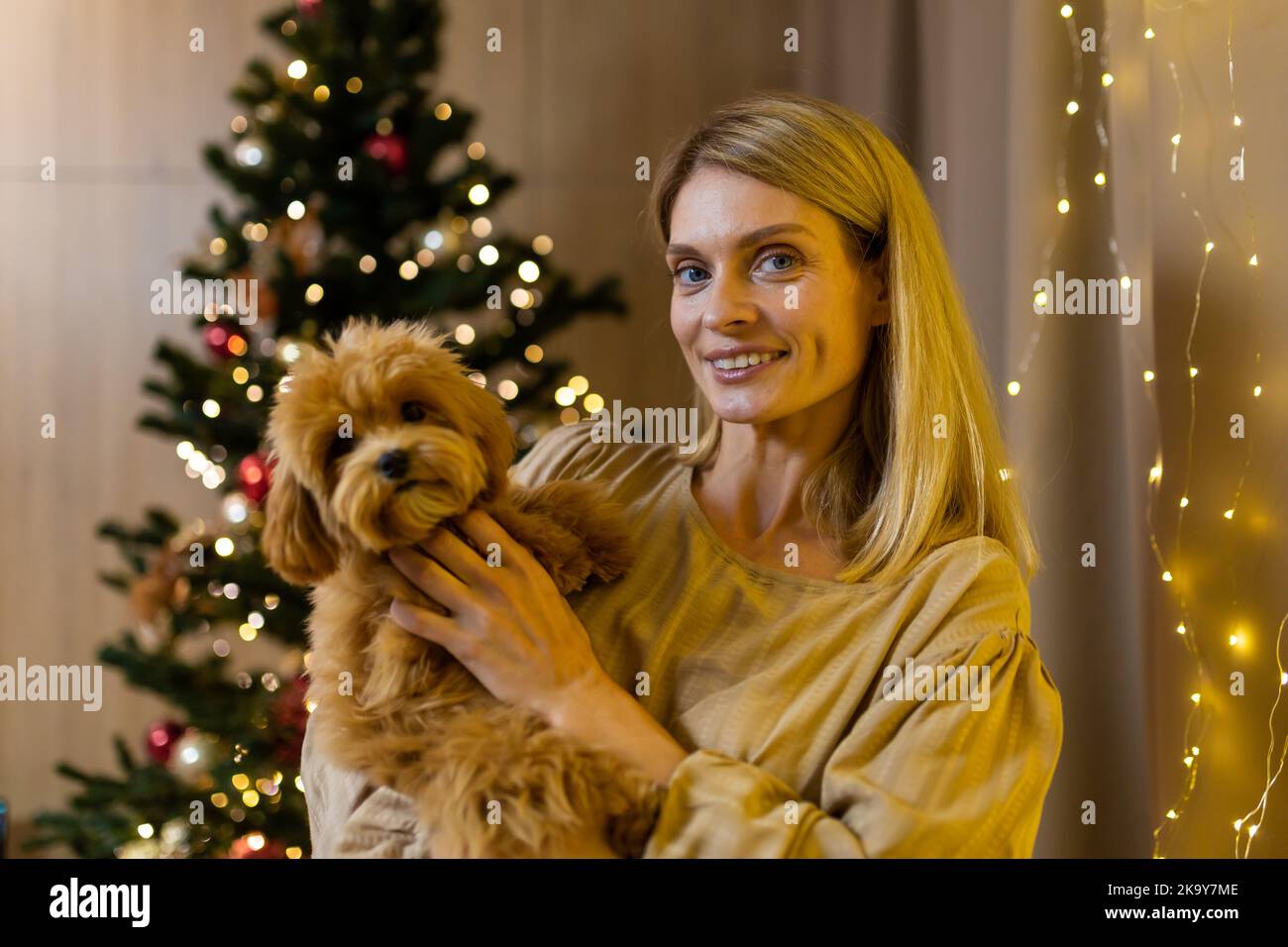 Ritratto di una donna matura a Natale a casa vicino all'albero di Natale, tenendo in mano un piccolo cane maltipo, guardando la macchina fotografica e sorridendo. Foto Stock