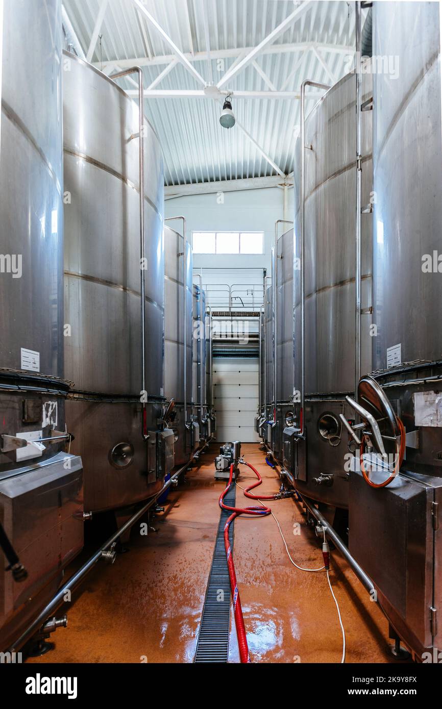 Grandi vasche per la chiarificazione del succo d'uva nella moderna cantina Foto Stock