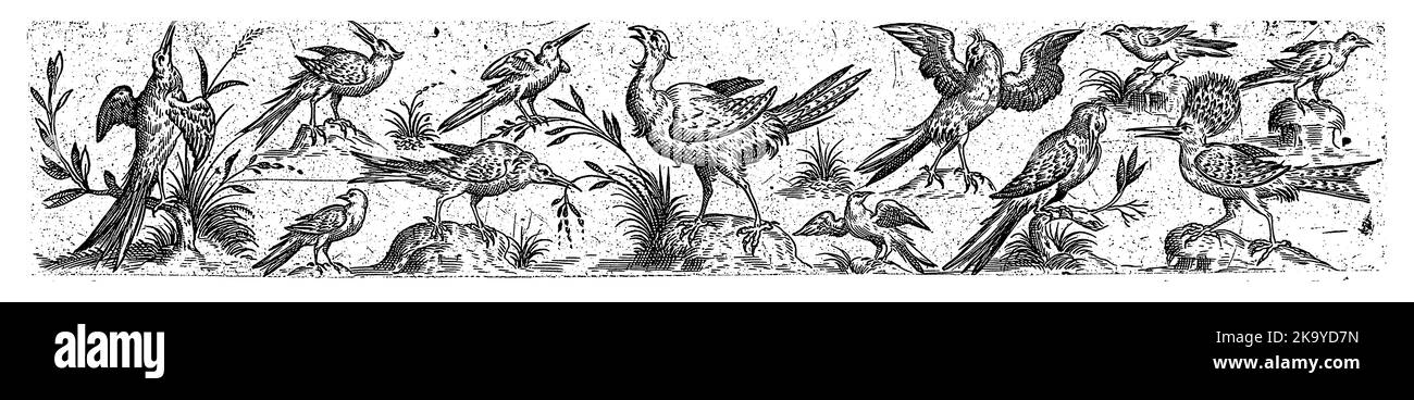 Foglio 7 da una serie di 12 fogli numerati. Foto Stock