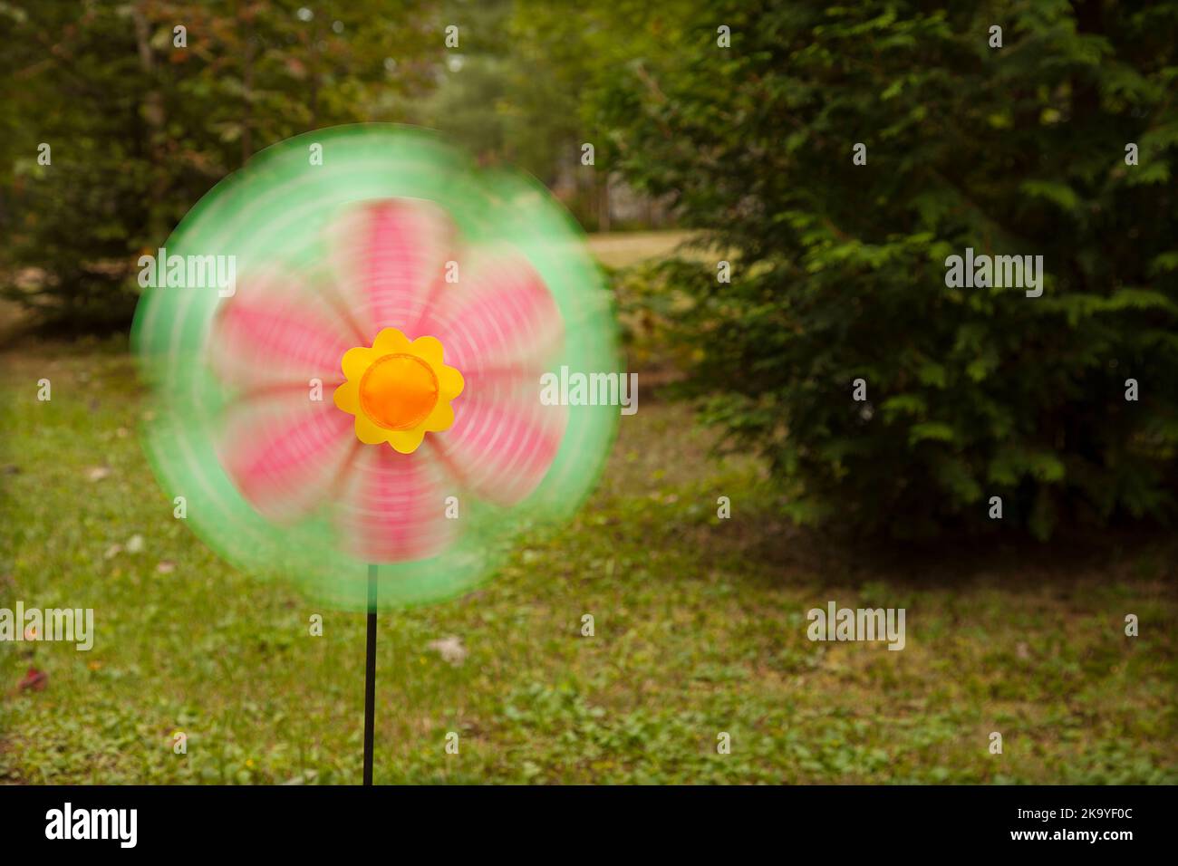 Ruota dentata colorata che gira nel vento. Ruota a perno luminosa e allegra che ruota al vento sul prato. Bella decorazione estiva. Foto Stock