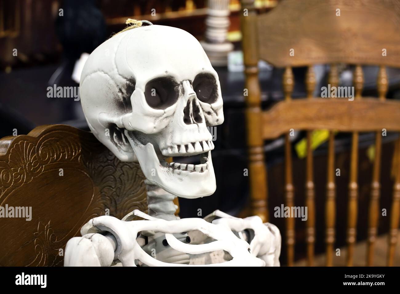 Decorazioni di Halloween, sfondo spaventoso. Scheletro seduto su sedia di legno Foto Stock
