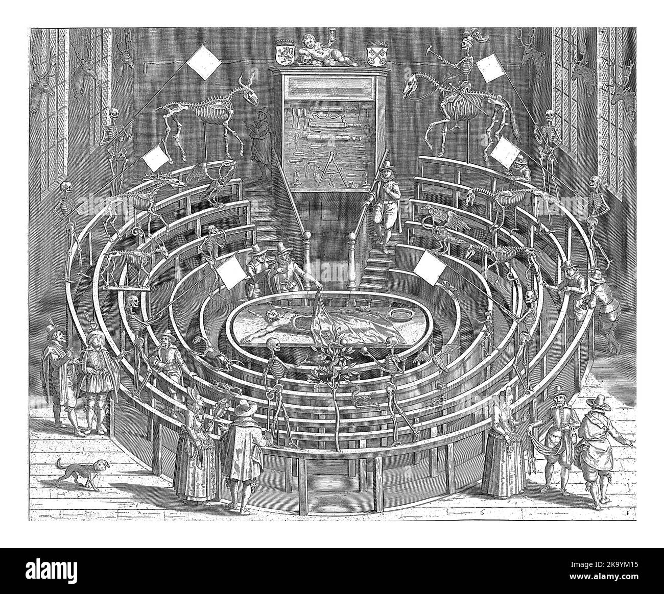 Teatro anatomico dell'Università di Leiden. Diversi spettatori sono presenti alla lezione di anatomia. Scheletri di persone e animali appendono nella stanza Foto Stock