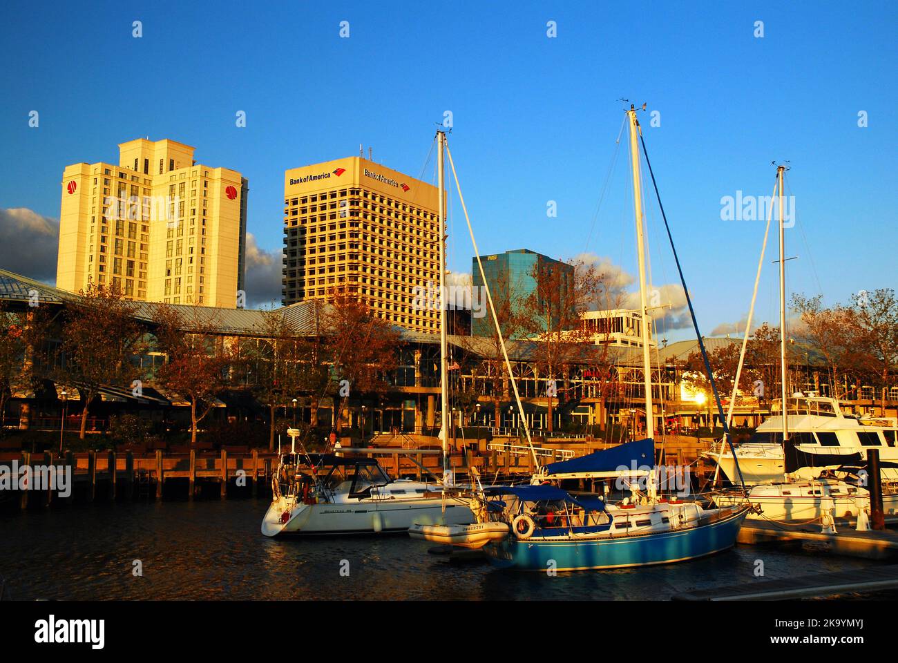 Vista del Norfolk Virginia Skyline dal lungomare Foto Stock