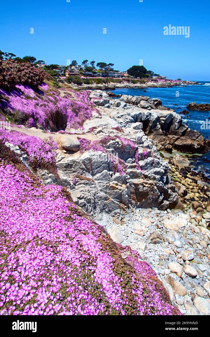 Lovers Point Beach, Monterey, California, Stati Uniti Foto Stock