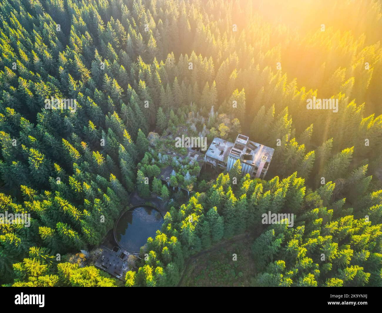 Rovine di ex miniera di stagno nella foresta dall'alto Foto Stock
