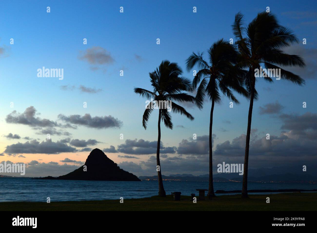 Dawn si spezza su Mokoli'i, conosciuto anche come cappello di Chinaman, rendendo le palme tropicali in silhouette su Oahu nelle Hawaii Foto Stock