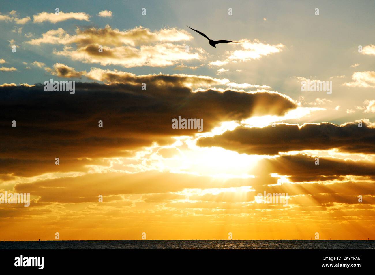 Luce degli dei, volo degli dei: Un uccello sorvola le nuvole e il sole all'alba e all'inizio di un nuovo giorno Foto Stock