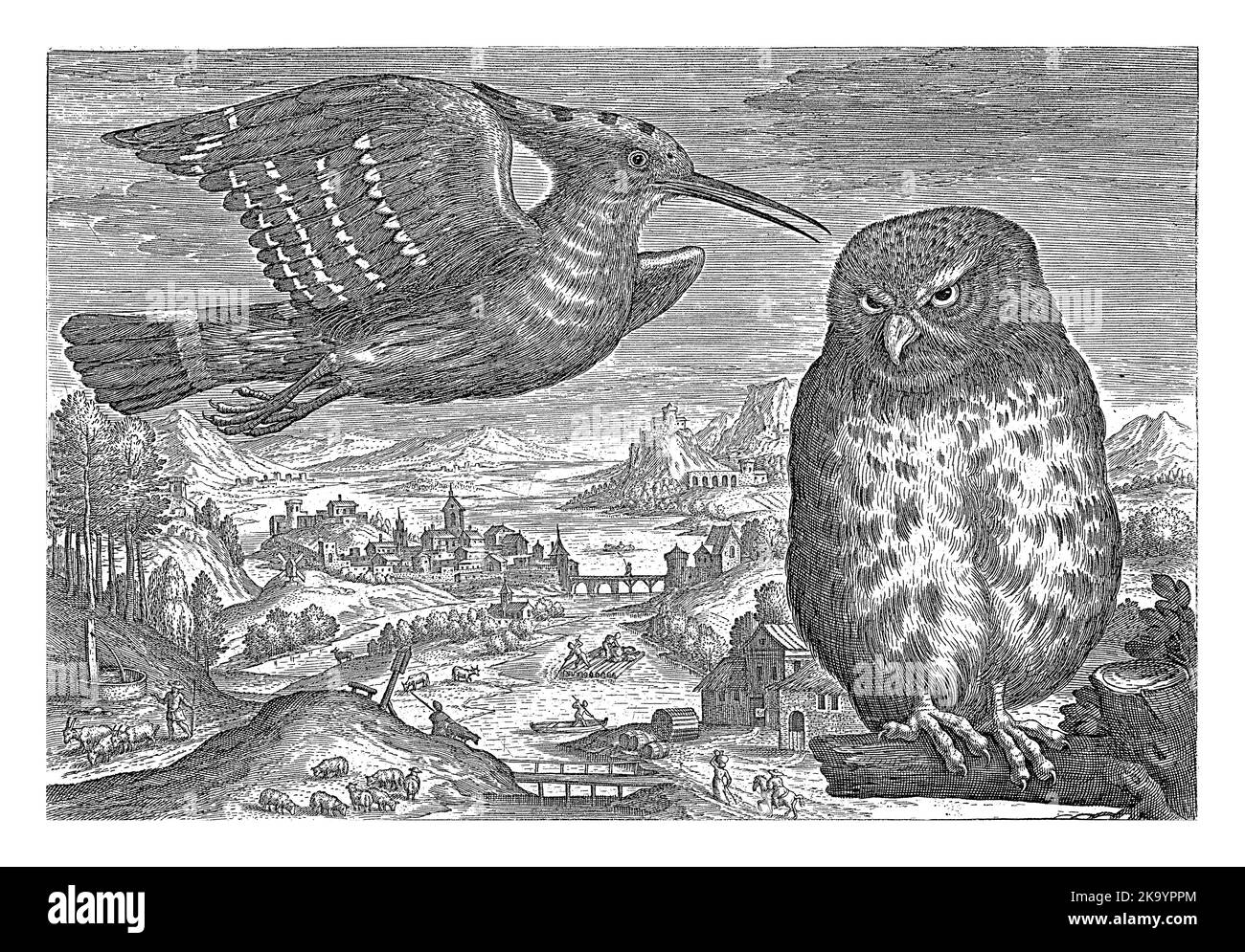 Un Hoopoe e un gufo in un paesaggio con un fiume. La stampa fa parte di una serie di uccelli come soggetto. Foto Stock