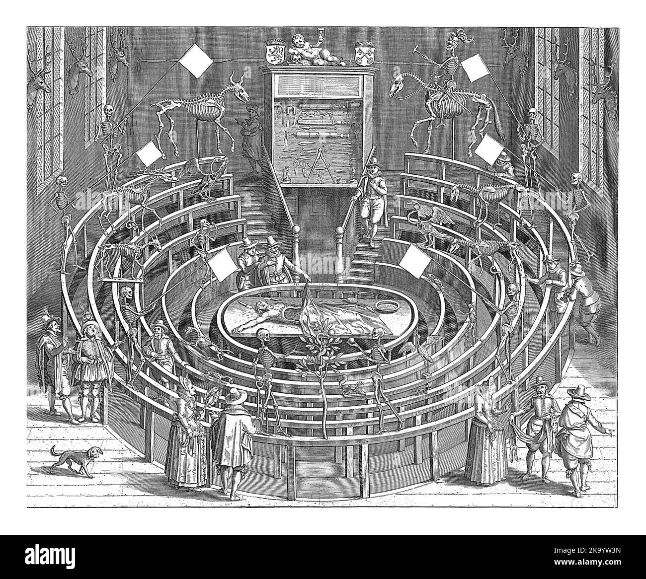 Teatro anatomico dell'Università di Leiden. Diversi spettatori sono presenti alla lezione di anatomia. Scheletri di persone e animali appendono nella stanza Foto Stock