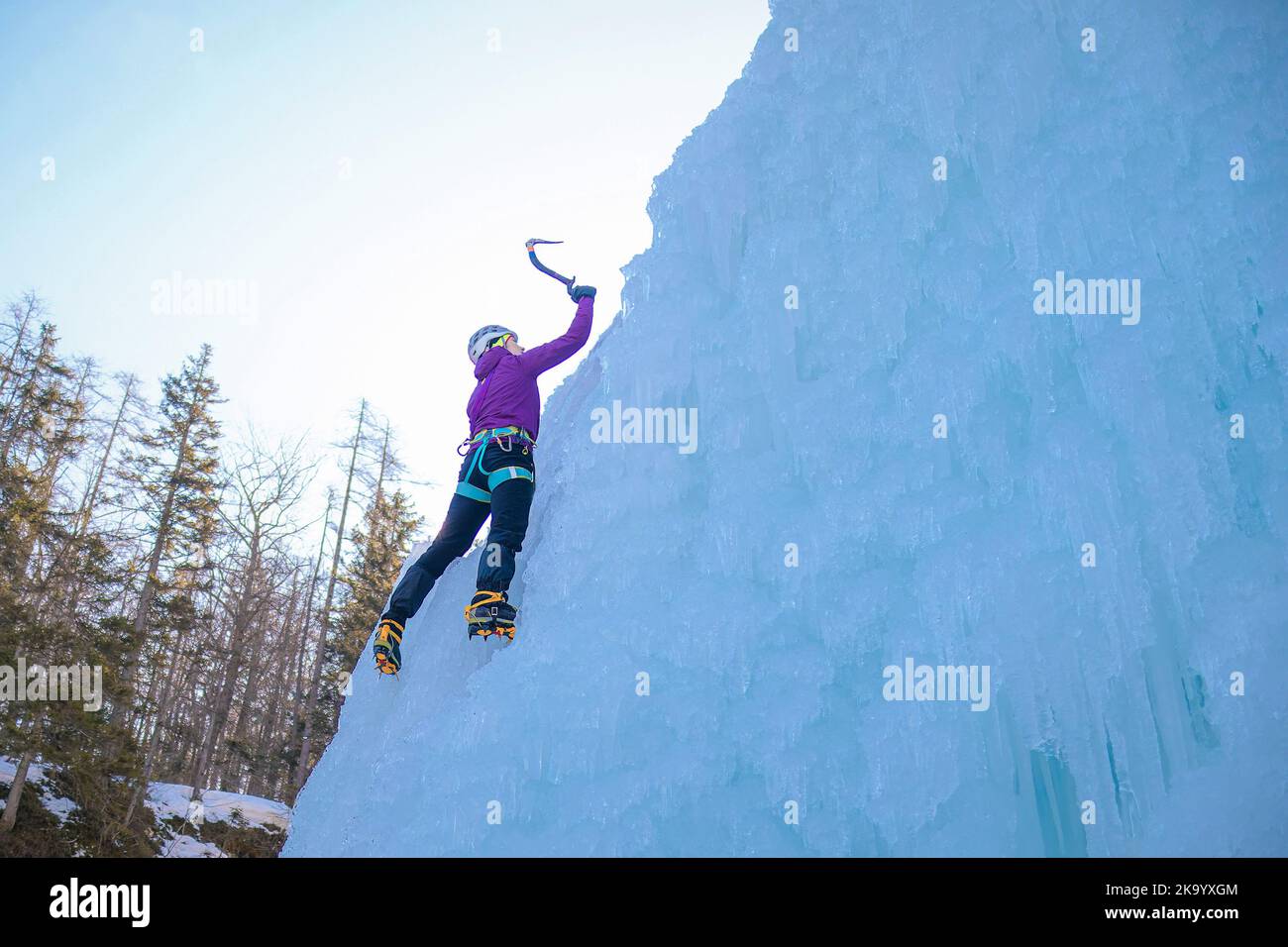Donna alpinista con attrezzature per arrampicata su ghiaccio su una cascata ghiacciata Foto Stock