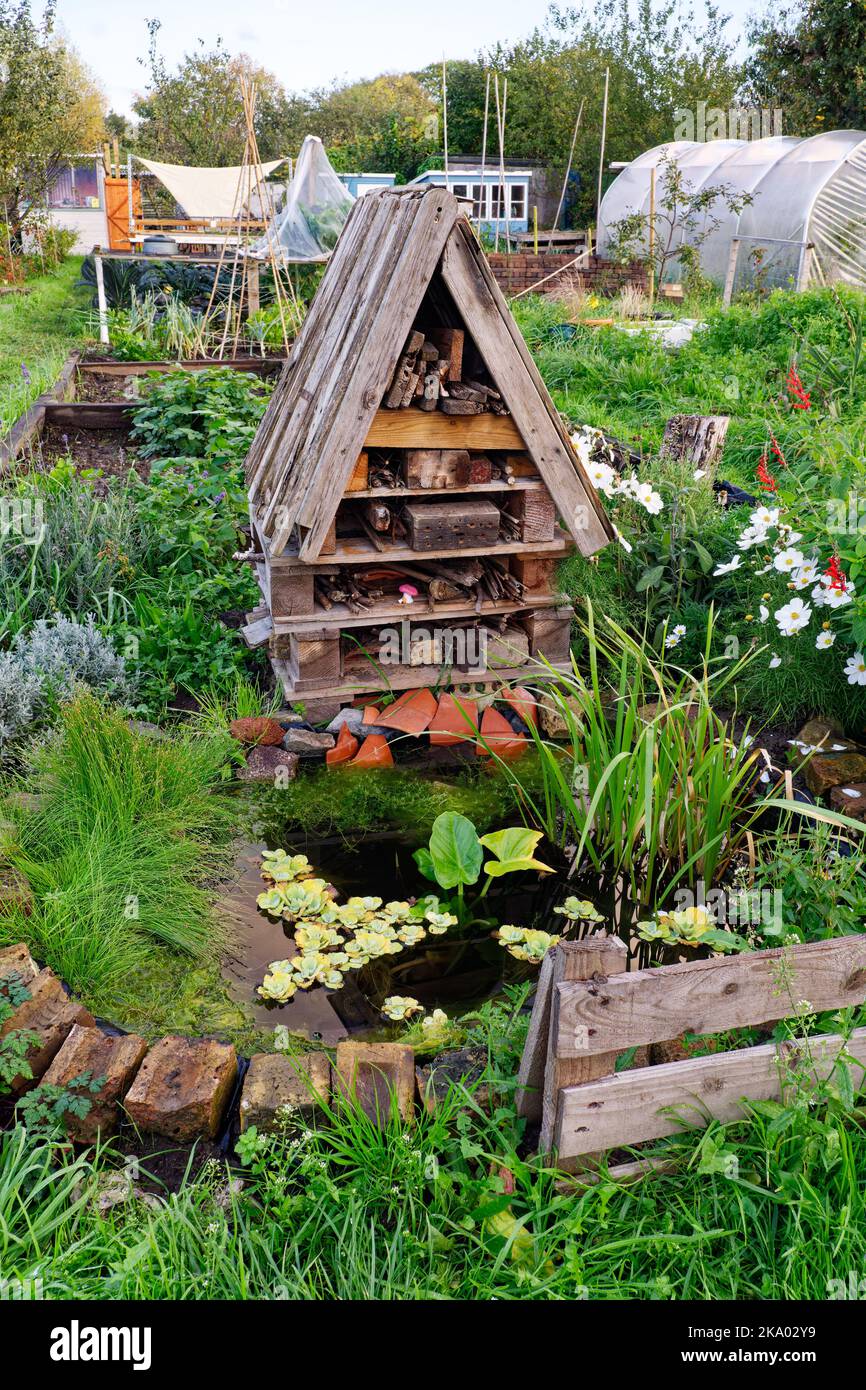 Habitat naturale per insetti sono un albergo ecologico di baita Foto Stock