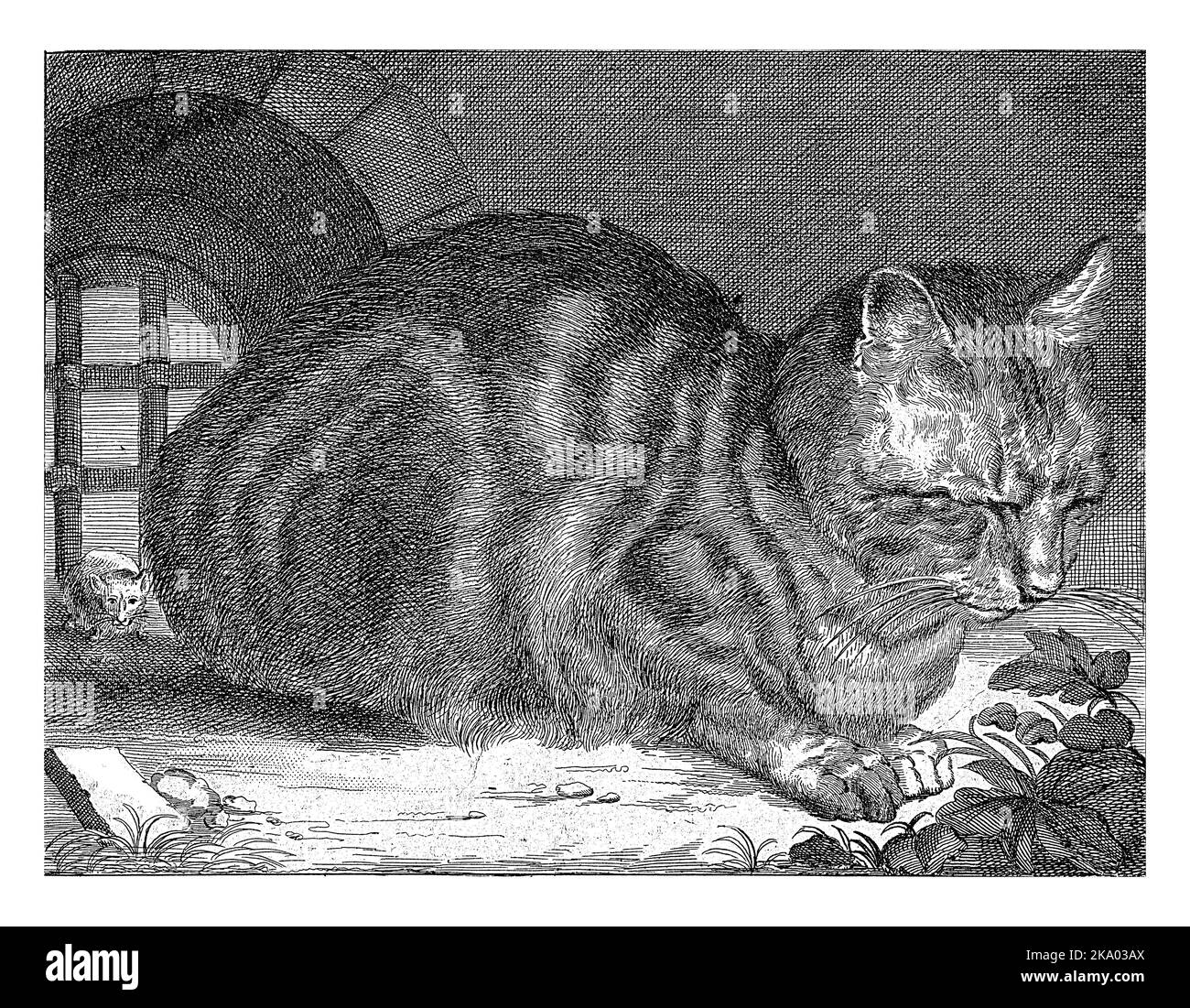 Il grande gatto, anonimo, dopo Cornelis Visscher (II), 1679 - 1702 Un gatto accovacciato siede di fronte ad una finestra barrata. Dietro il gatto c'è un mouse. Foto Stock