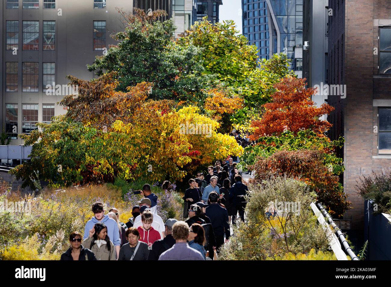 The High Line, Chelsea, Manhattan Foto Stock