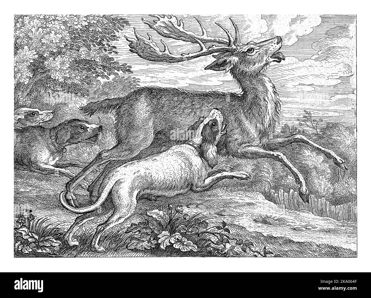 Tre cani cacciano un cervo in una zona boscosa. Questa stampa fa parte di una serie di dieci stampe con animali diversi. Foto Stock