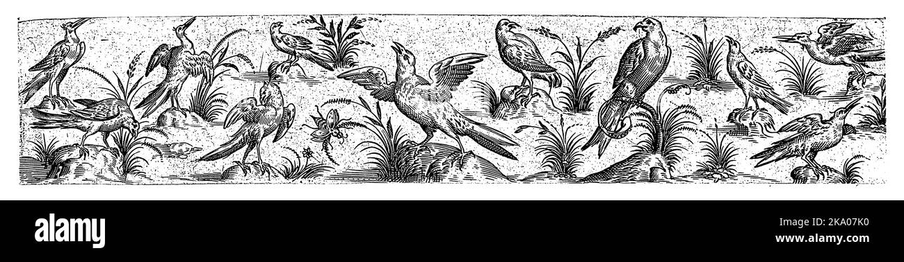 L'uccello al centro ha sparso le sue ali e si sta guardando verso l'alto. Foglio 2 dalla serie di 12 fogli numerati. Foto Stock