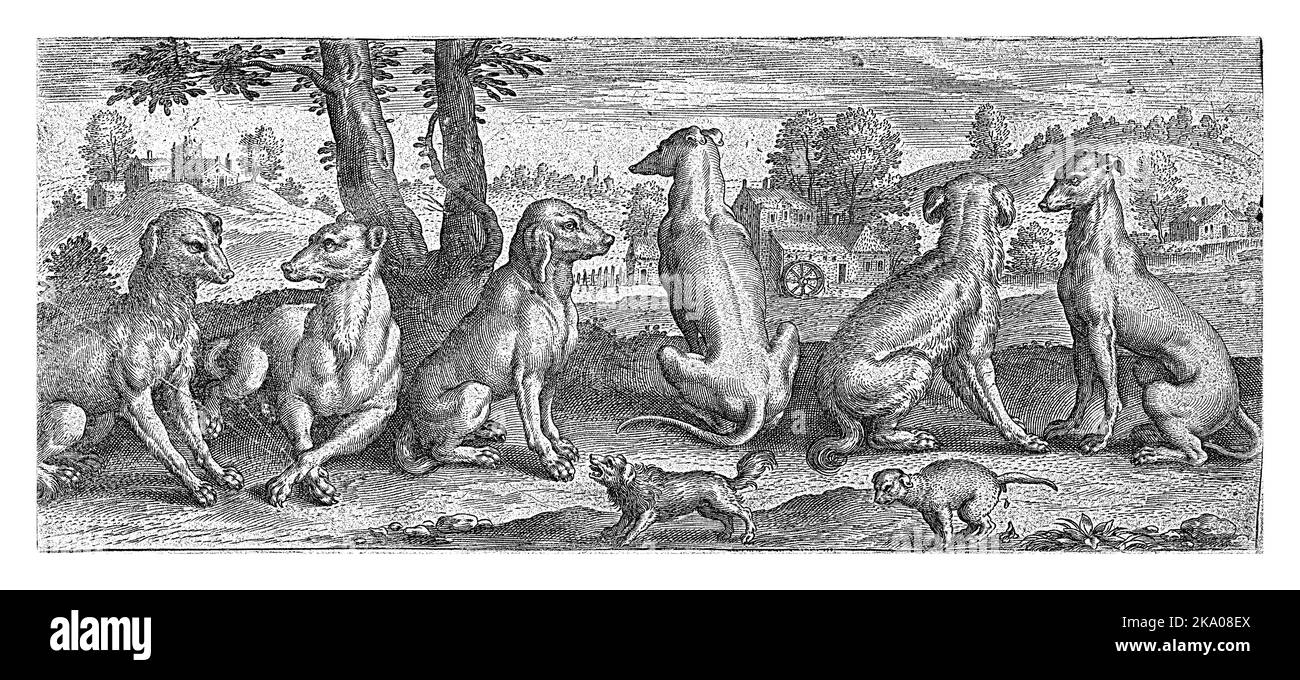 Una raccolta di immagini di tutti i tipi di cani. Sei cani in piedi o seduti. Un piccolo cane da giro abbaia mentre un altro va in bagno. Foto Stock