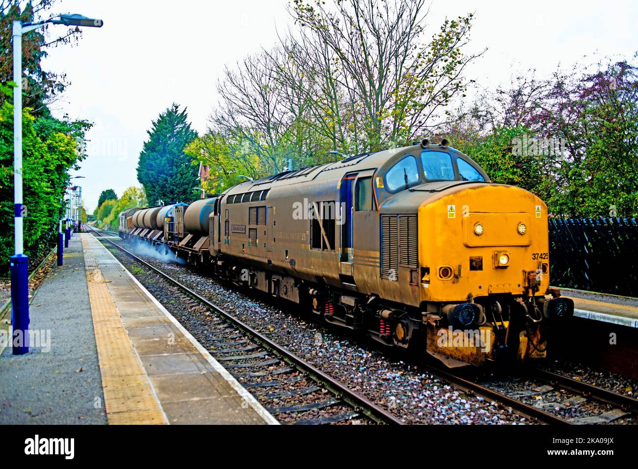 Classe 37425 sul treno Rail Head Treatment Train a Poppleton, North Yorkshire, Inghilterra Foto Stock