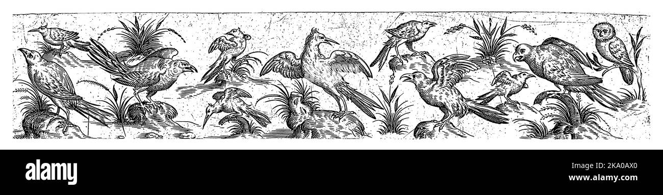 L'uccello al centro ha sparso le sue ali e guarda indietro. Foglio 4 dalla serie di 12 fogli numerati. Foto Stock