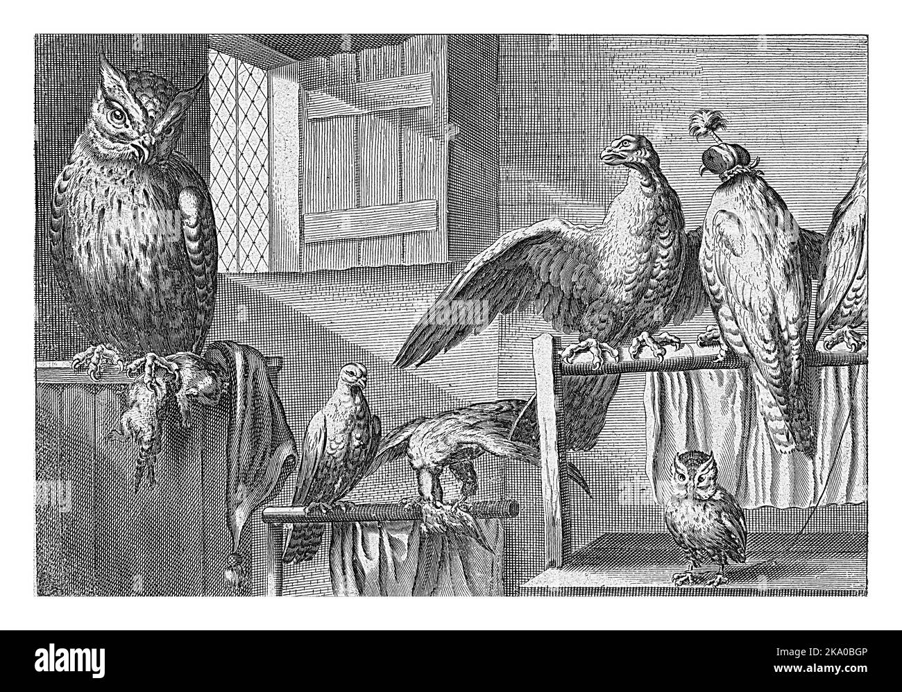 Falconi e gufi in un fienile, Pieter van Lisebetten, dopo Wenceslaus Hollar, dopo Francis Barlow, 1654 - 1678 Falconi e gufi in un fienile. Foto Stock