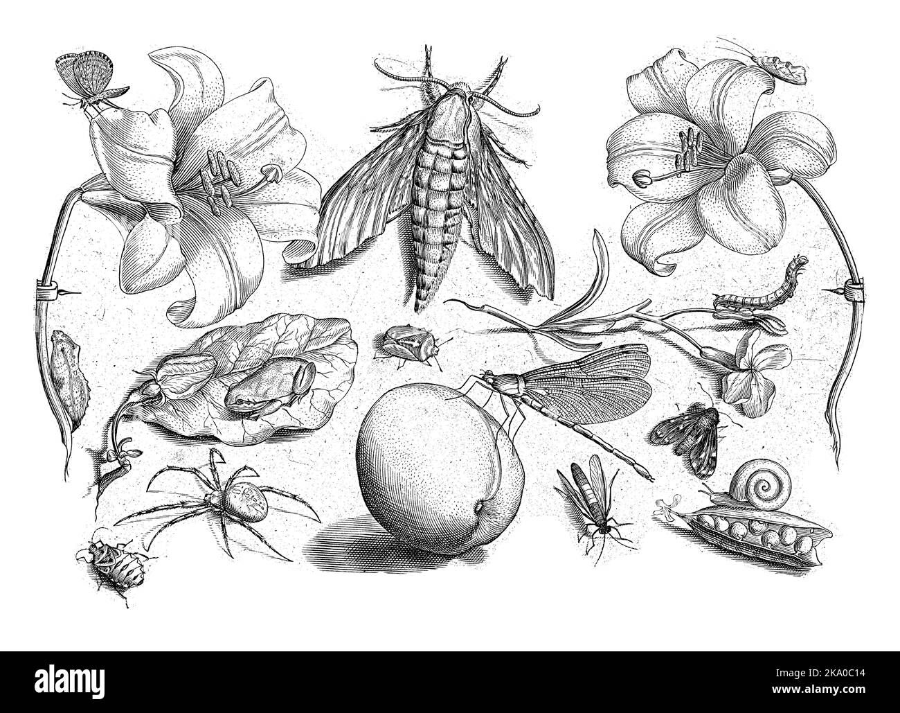 Stampa da una serie di 48 stampe, divise in quattro parti separate di dodici stampe ciascuna. Menzionato in basso a destra: [Parte] 1. In alto e in basso un tex Foto Stock