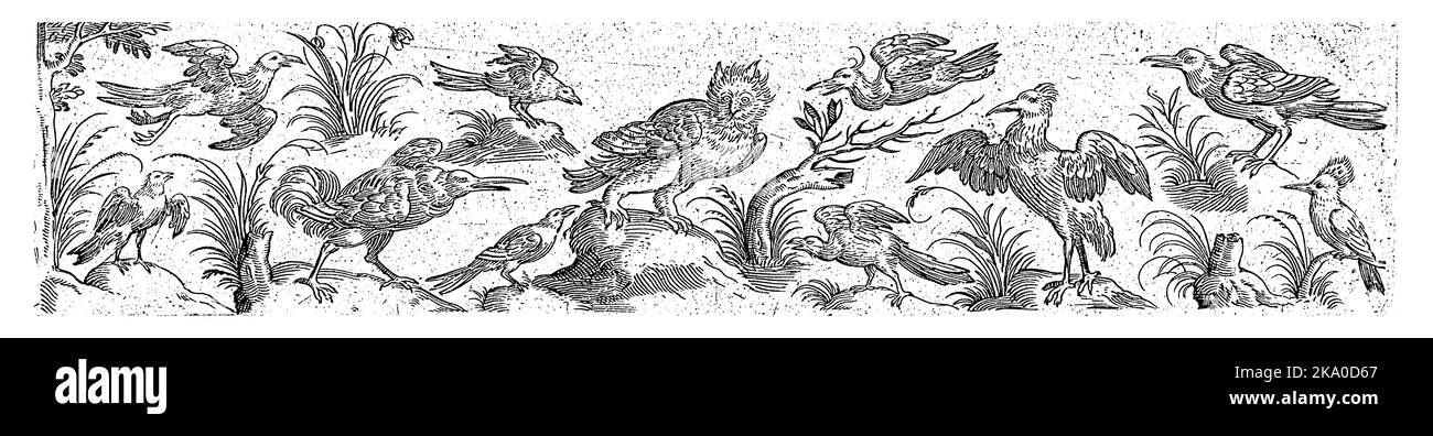 Al centro c'è un gufo, in basso a destra un hoopoe. Numero 4 da una serie di 12 fogli numerati. Foto Stock