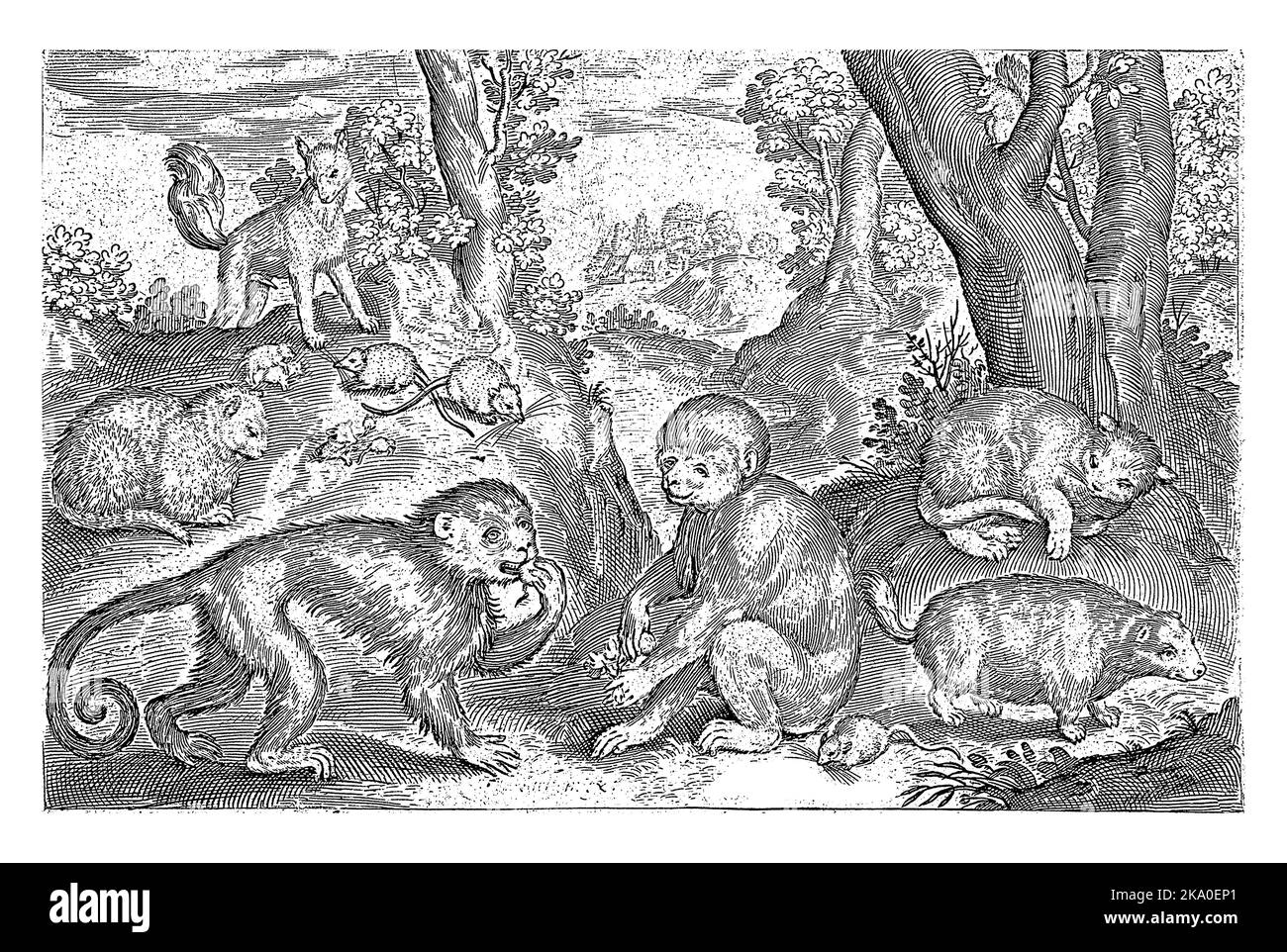 Scimmie, gatti e topi, Nicolaes de Bruyn, 1621, annata incisa. Foto Stock