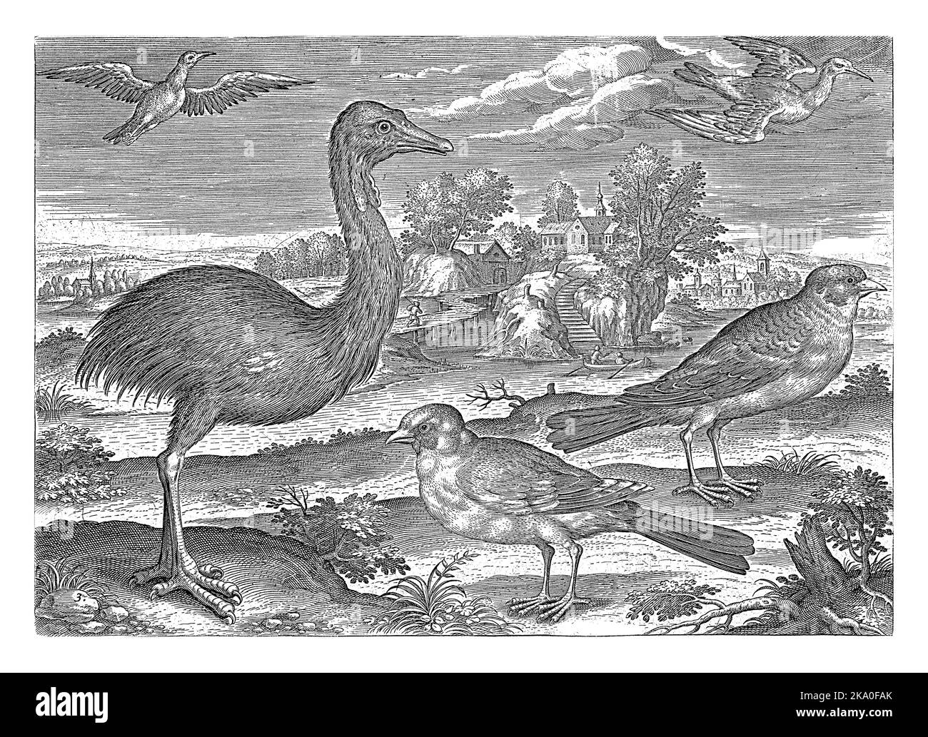 Un rhea, alcune fringuine e altri due uccelli in un paesaggio con uno stagno. La stampa fa parte di una serie di uccelli come soggetto. Foto Stock