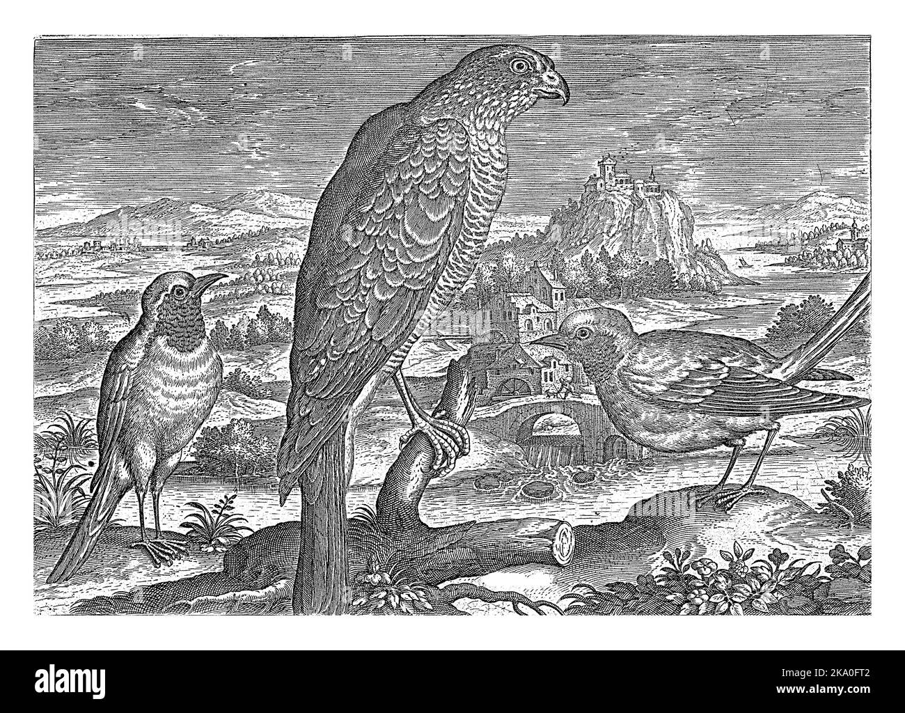 Un falco e due redini, in un paesaggio con un fiume. La stampa fa parte di una serie di uccelli come soggetto. Foto Stock