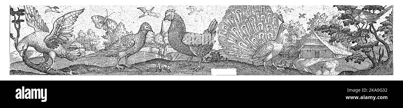 Sulla destra cinque anatre dentro e vicino l'acqua. A sinistra ci sono due tacchini e un piccolo uccello. Numero 1 da una serie di 12 fogli numerati. Foto Stock