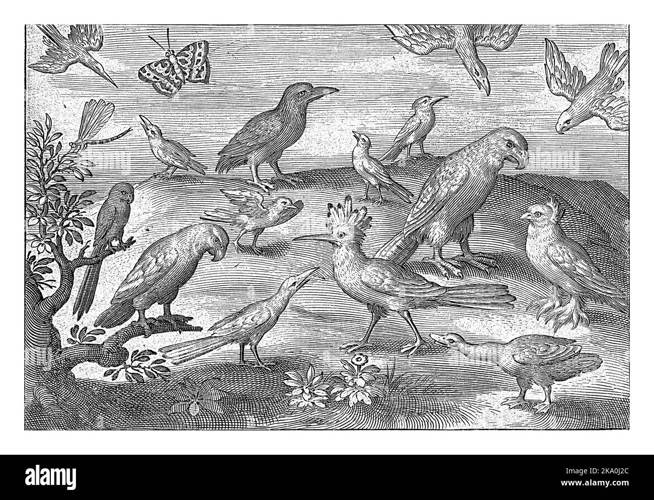 Hoopoe e altri uccelli, Nicolaes de Bruyn, 1594 Foto Stock