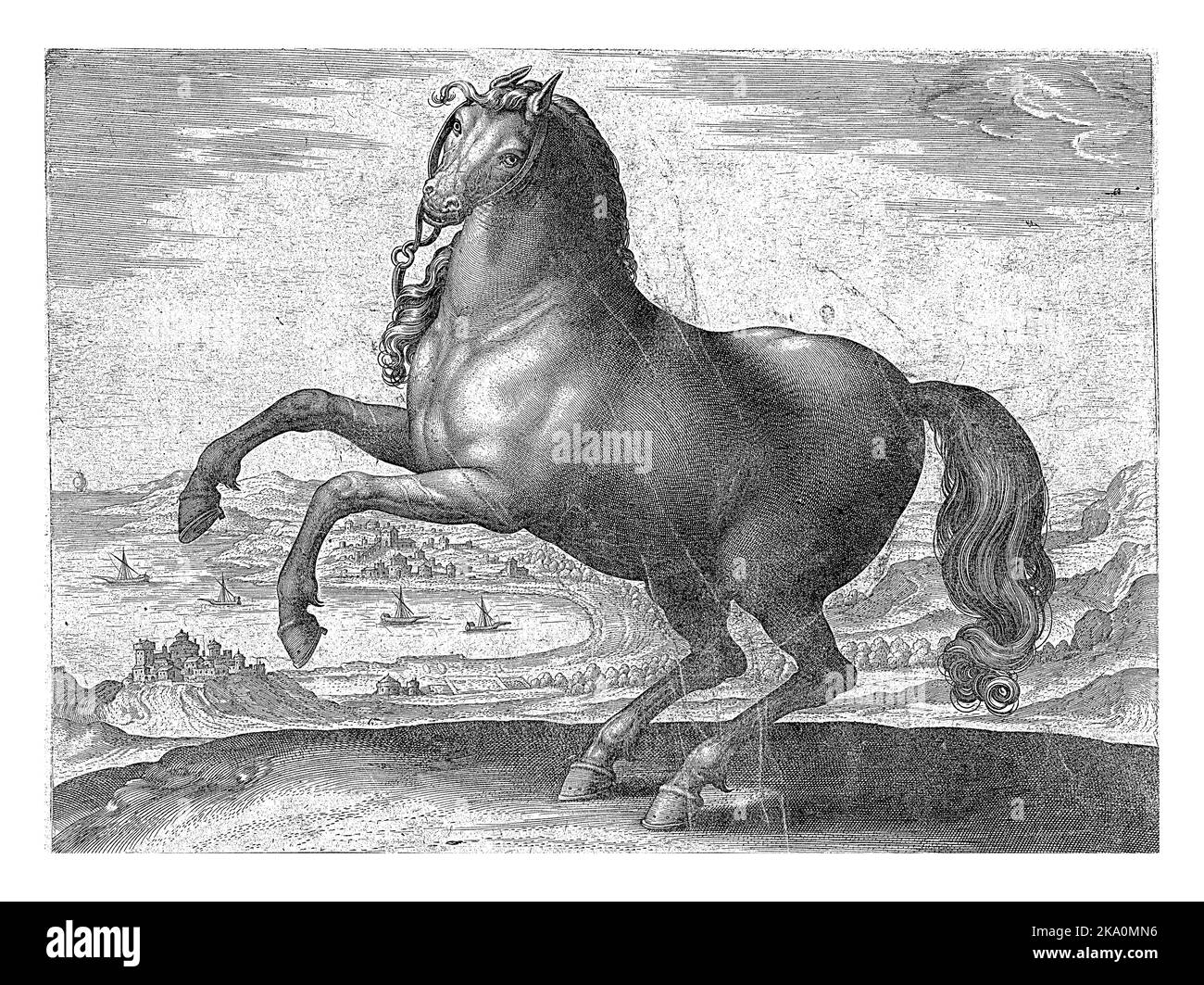 Un cavallo dell'Italia meridionale (Appulus), in profilo. Si remi. La stampa ha una didascalia latina ed è parte della prima parte di una serie in 39 parti sull'ho Foto Stock