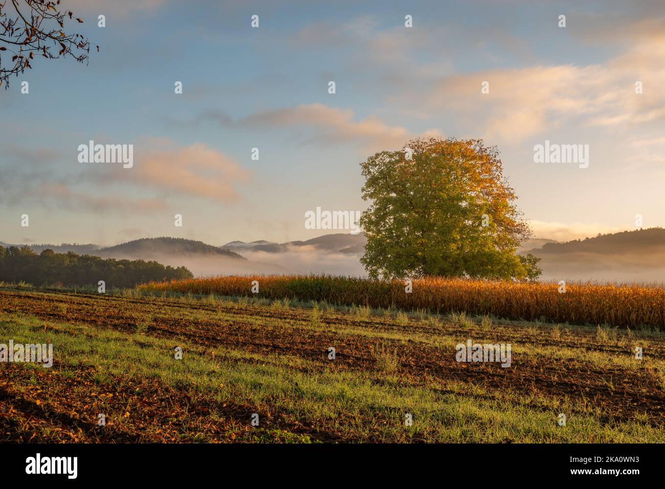 Paesaggio rurale autunnale nel Baden-Wuerttemberg, Germania Foto Stock