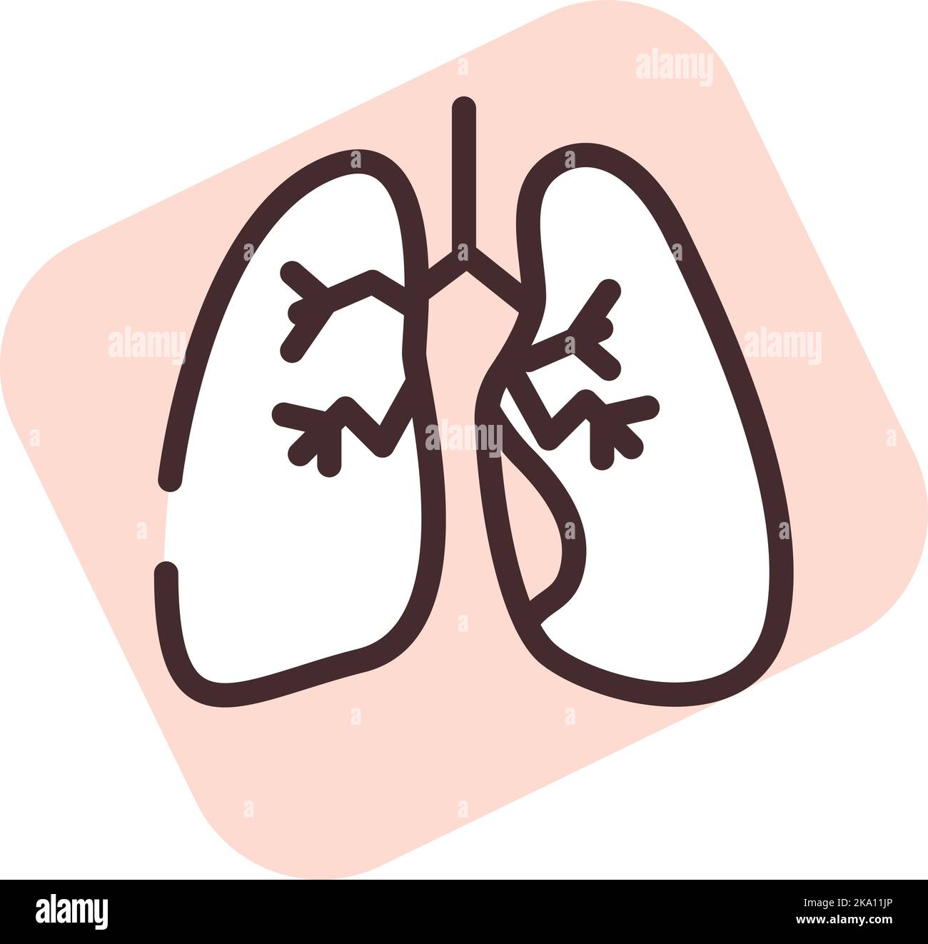 Polmoni di organi umani, illustrazione o icona, vettore su sfondo bianco. Illustrazione Vettoriale